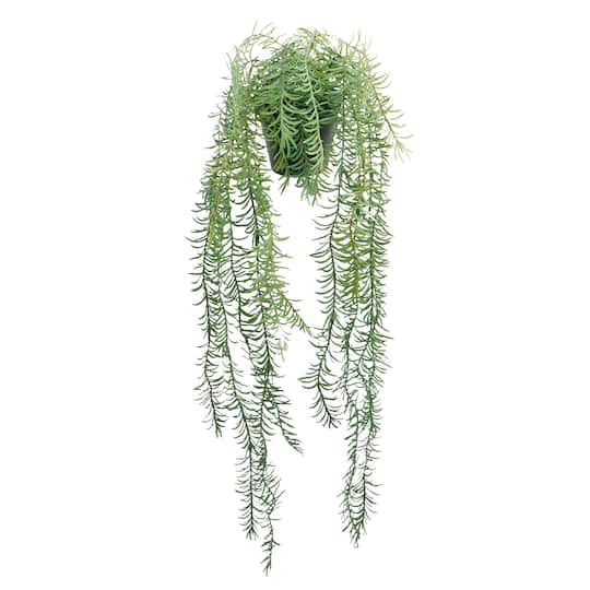 18" Potted Rosemary Plant by Ashland®